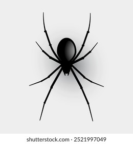 Black spider. Spider halloween. Vector illustration