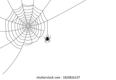 Black spider hanging down from spiderweb in left corner of illustration. White background. Vector illustration.