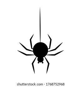 Black spider hanging on a thread. Halloween decoration element