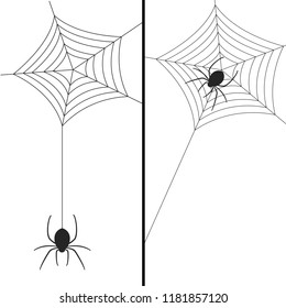 Black spider hanging and spider on its web vector illustration