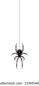 Black spider hanging on a web isolated on white background. Vector design element