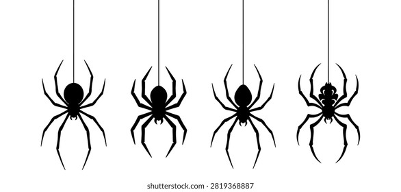 Black spider hanging from silk thread illustration