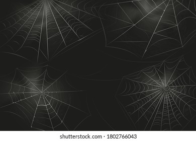 A black spider hangs on a web. Scary spiderweb of halloween symbol. Realistic  silhouette.Vector illustration.