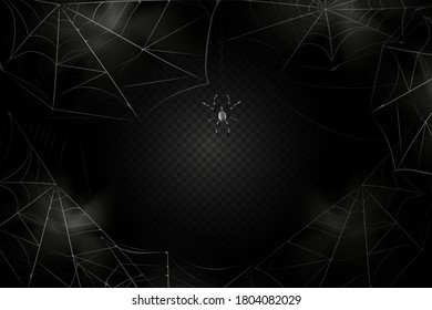 A black spider hangs on a web. Scary spiderweb of halloween symbol. Realistic  silhouette.Vector illustration.
