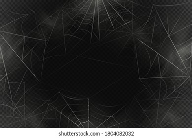 A black spider hangs on a web. Scary spiderweb of halloween symbol. Realistic  silhouette.Vector illustration.
