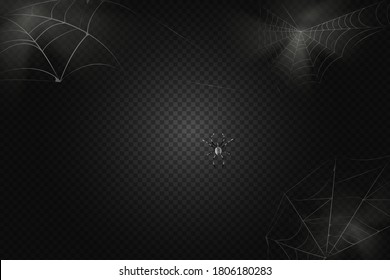 A black spider hangs on a web. Scary spiderweb of halloween symbol. Realistic  silhouette.Vector illustration.
