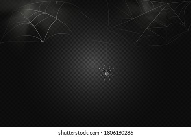 A black spider hangs on a web. Scary spiderweb of halloween symbol. Realistic  silhouette.Vector illustration.
