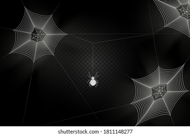 Una araña negra cuelga en una tela. Espinosa telaraña del símbolo de halloween. Silhouette realista.Ilustración vectorial.
