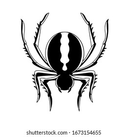 Black spider icon isolated on white background for website flat vector illustration. Transparent and back. Widow. Arachnophobia. Phobia concept. Danger symbol. Graphic element. Insect animal.