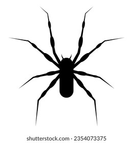Black spider icon isolated on white background