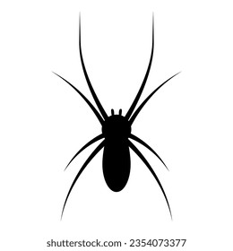 Black spider icon isolated on white background