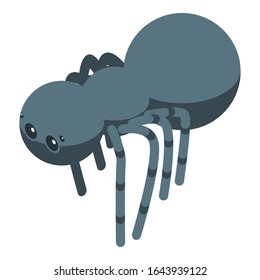 Black spider icon. Isometric of black spider vector icon for web design isolated on white background