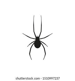 Black spider icon. Vector. Halloween symbol. Isolated.