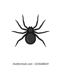 Black spider icon vector image
