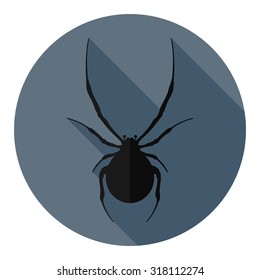 Black spider icon.Flat with shadow.