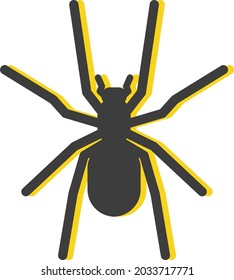 Black spider, illustration, vector, on a white background.
