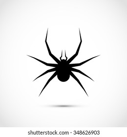 Black Spider. Insect Icon / Logo / Symbol. Vector Illustration.