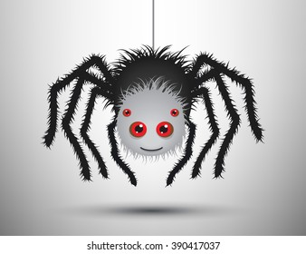 Black spider isolated.