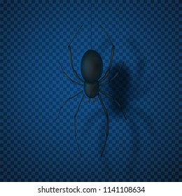 Black spider isolated on transparent backdrop. Top view on realistic insect. Vector illustration.