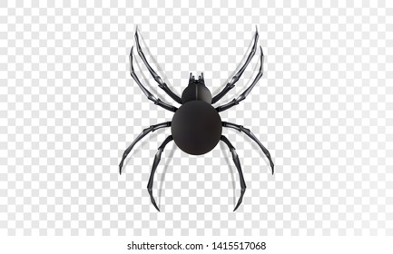 Black spider isolated on transparent backdrop. Top view 3D realistic insect. Vector illustration eps10.