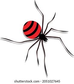 Black Spider isolated on white background. Vector illustration of Black Spider