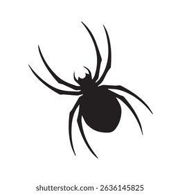 black spider isolated on white background, spider isolated on white background