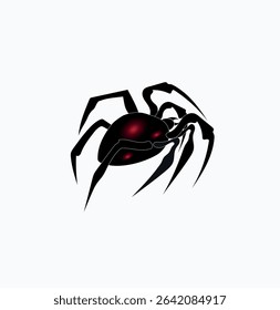 Black spider isolated on white background. Vector illustration