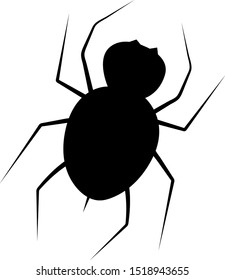 Black spider isolated. Vector drawing. Element of Halloween.