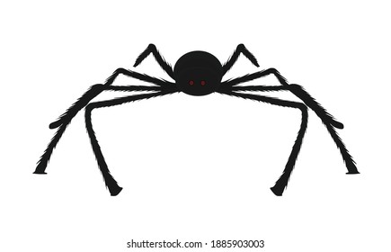 Black spider isolated. vector illustration