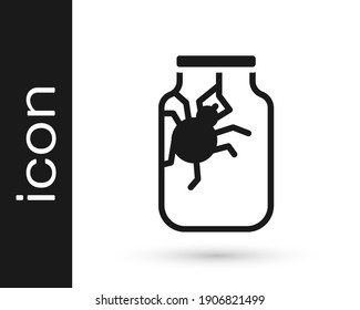 Black Spider in jar icon isolated on white background. Happy Halloween party.  Vector