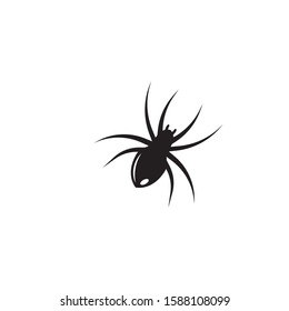 Black Spider Logo unique  icon template vector