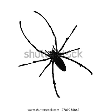 Black spider lon legs vector art illustration. Spider silhouette for Halloween design. Creepy animal graphic element for fear or nature concept.
