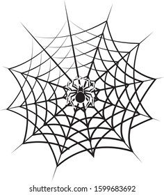 Black spider on a black cobweb