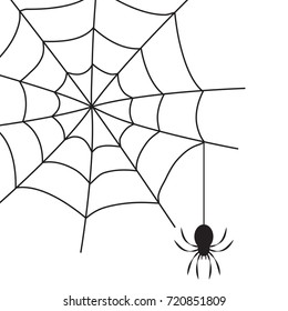 Black spider on spider's web isolated on white background. Halloween symbol. Vector illustration.