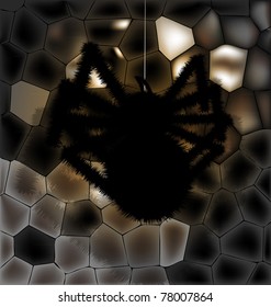 black spider on the wall