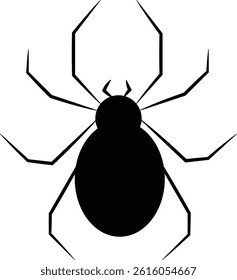 black spider on a white