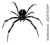 Black spider on a white background. Black spider. Vector illustration