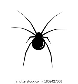 Black spider on a white background. Vector illustration