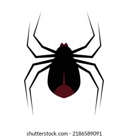 
Black spider on a white background.