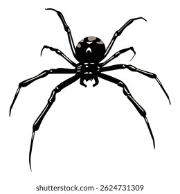Black spider on a white background. Black spider. Vector illustration