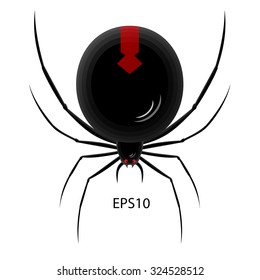 Black spider on white background vector illustration.