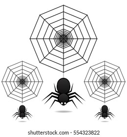 Black Spider on white background - vector illustration