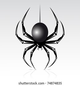 Black spider on a white background. Isolated.