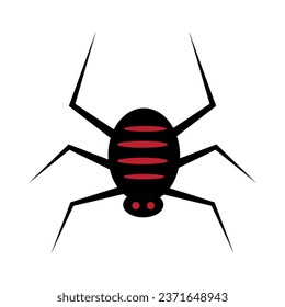 Black Spider With Red Stripes