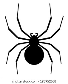 Black Spider Silhouette