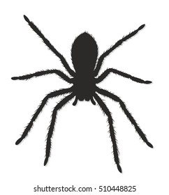 Black spider silhouette.