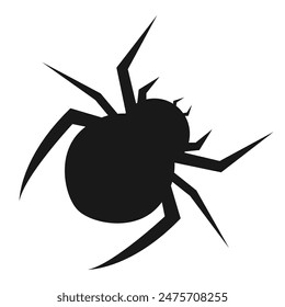 Black spider silhouette, close up spider, isolated scary big spider, poisonous insect, arachnophobia background, spider vector icon