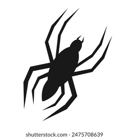 Black spider silhouette, close up spider, isolated scary big spider, poisonous insect, arachnophobia background, spider vector icon	