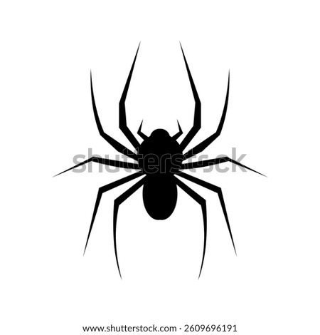 Black spider silhouette, close up spider, isolated scary big spider, poisonous insect, arachnophobia background, spider vector icon	