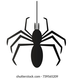 black spider silhouette, close-up spider,scary icon spider silhouette symbol of halloween  Isolated on white vector illustration